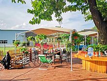 �뽭�r(sh��)���V��(ch��ng)���Z��đ�(y��ng)��