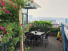 ���Մe�������������εđ���