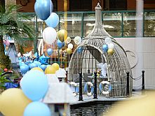 ��������˹�;�Ƶ�