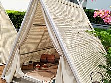 ������X�F����X-P2102