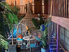 ̩����Ϫ����-���T��ͤ�đ���