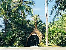 ������ˮ���ص�ķ�ȼپƵ�